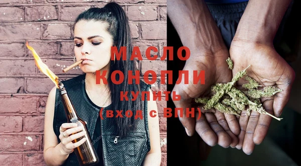 крисы Бородино