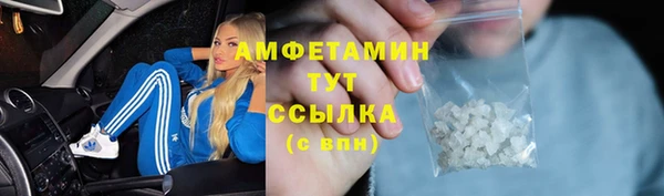 шишки Богородицк