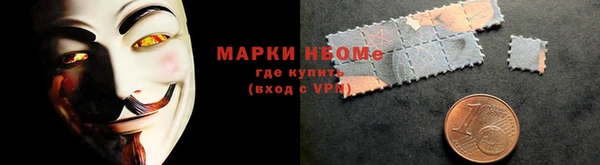 шишки Богородицк