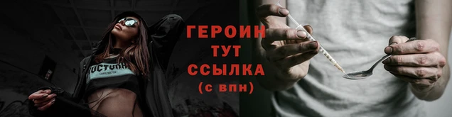 крисы Бородино
