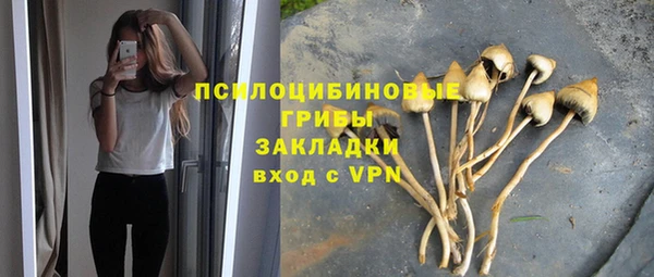 бутират Бугульма