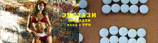крисы Бородино