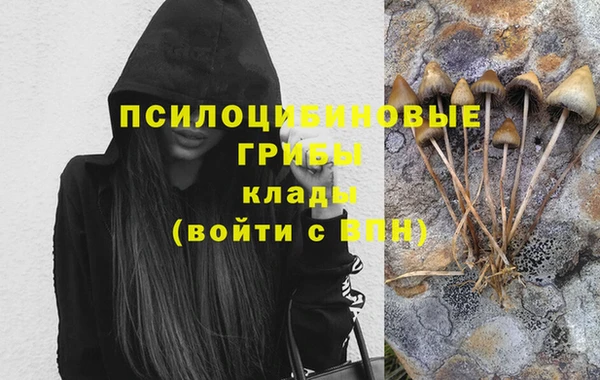 дживик Богданович