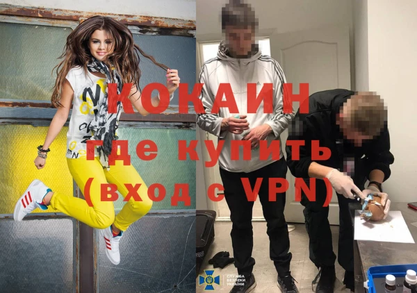 шишки Богородицк